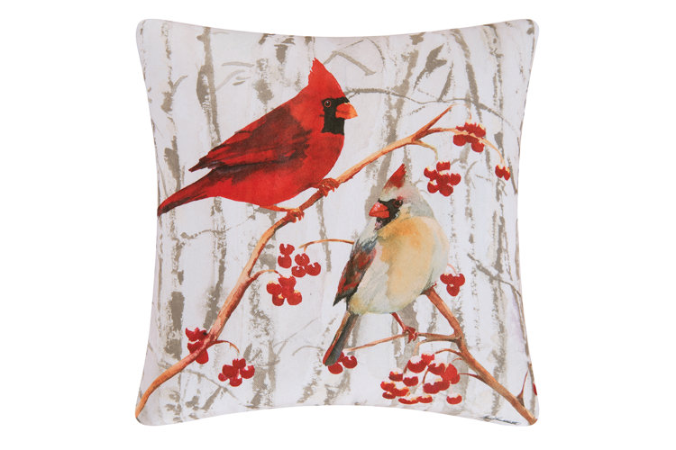 Outdoor winter throw outlet pillows